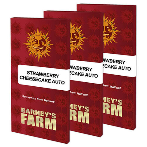 Strawberry Cheesecake Auto - Autoflowering - Barneys Farm Seeds