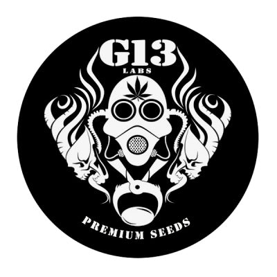 G13 Labs Seeds