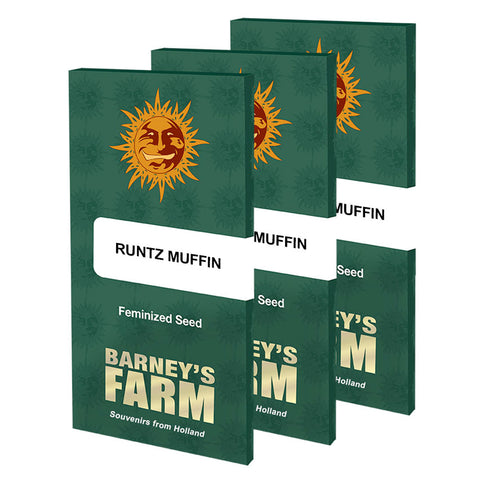 Barneys Farm Runtz Muffin - Feminised - Barneys Farm Seeds