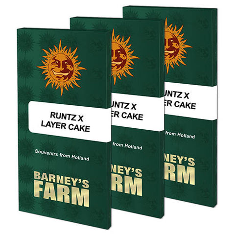 Runtz x Layer Cake - Feminised - Barneys Farm Seeds