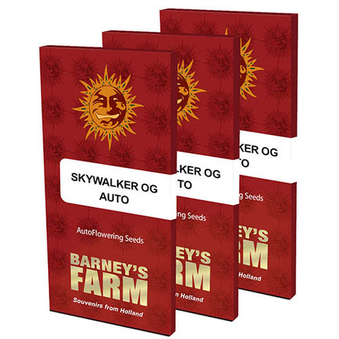 Skywalker OG Auto - Autoflowering - Barneys Farm Seeds