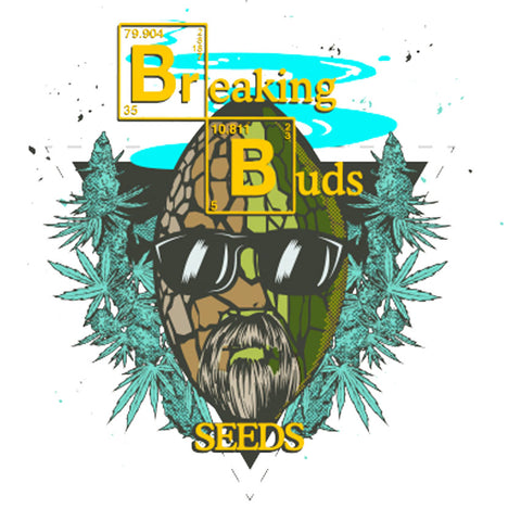 Brownie Auto - Autoflowering - Breaking Buds Seeds