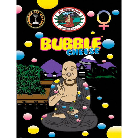 Bubble Cheese - Feminised - Big Buddha Seeds