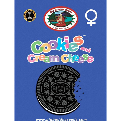 Cookies & Cream Cheese - Feminised - Big Buddha Seeds