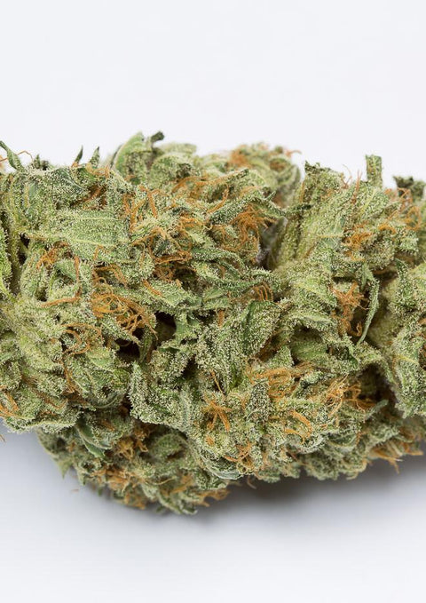 Bubba Kush - Autoflowering - Dinafem