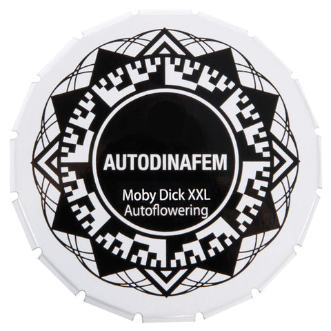 Moby Dick XXL - Autoflowering - Dinafem