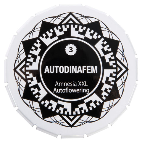 Amnesia XXL - Autoflowering - Dinafem