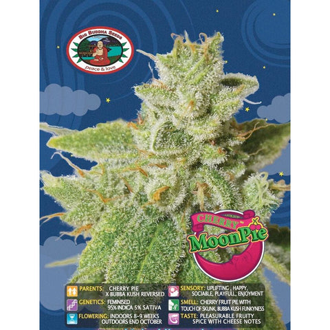 Cherry Moon Pie - Feminised - Big Buddha Seeds