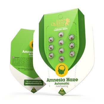 Amnesia Haze - Feminized & Autoflowering - Royal Queen Seeds